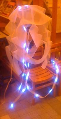 meduse_lumineuse.jpg meduse_lumineuse.jpg