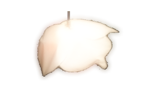 logoterre.png logoterre.png